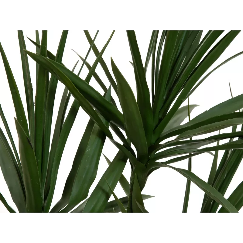 EUROPALMS Dracena Τεχνητό Φυτό, Πράσινο, 170 cm 82505799