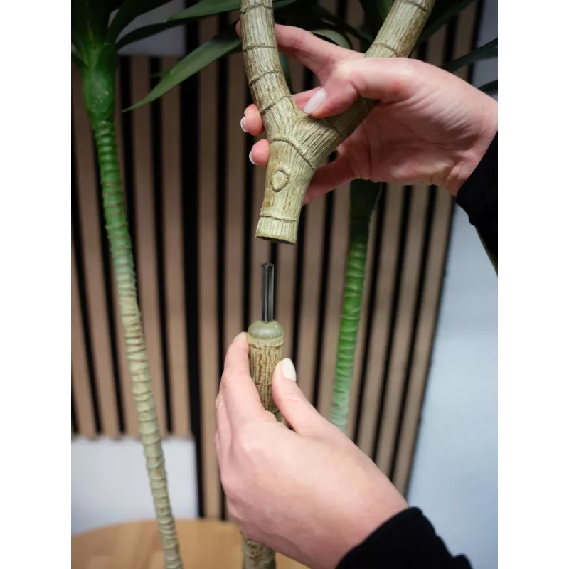 EUROPALMS Dracena Τεχνητό Φυτό, Πράσινο, 170 cm 82505799