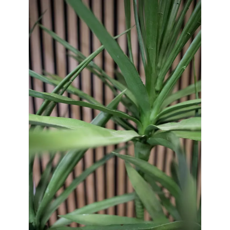 EUROPALMS Dracena Τεχνητό Φυτό, Πράσινο, 170 cm 82505799