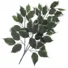 EUROPALMS Τεχνητό Κλαδί Ficus, συσκευασία 12 τεμ. 82506100
