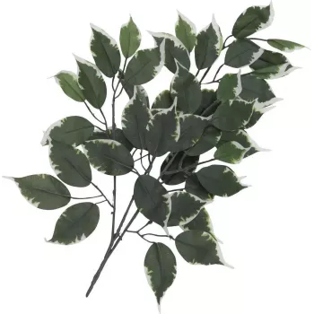 EUROPALMS Τεχνητό Κλαδί Ficus, συσκευασία 12 τεμ. 82506100