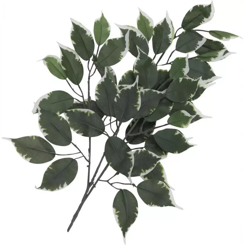 EUROPALMS Τεχνητό Κλαδί Ficus, συσκευασία 12 τεμ. 82506100