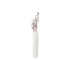 EUROPALMS Τεχνητό Κλαδί Μαγνολίας (EVA), Λευκό-Ροζ 82530587