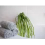 EUROPALMS Τεχνητό Seegras (EVA), Πράσινο 82531062