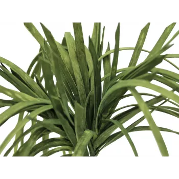 EUROPALMS Τεχνητό Seegras (EVA), Πράσινο 82531062