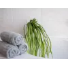EUROPALMS Τεχνητό Seegras (EVA), Πράσινο 82531062