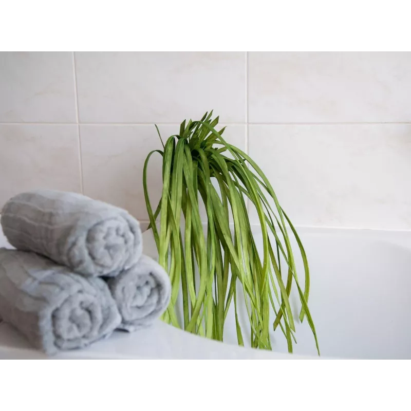 EUROPALMS Τεχνητό Seegras (EVA), Πράσινο 82531062