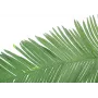 EUROPALMS Τεχνητό φύλλο καρύδας βασιλικού φοίνικα, 180cm 82509847