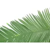 EUROPALMS Τεχνητό φύλλο καρύδας βασιλικού φοίνικα, 180cm 82509847