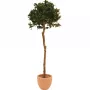 EUROPALMS Τεχνητή σφαίρα δάφνης, 180cm 82506946