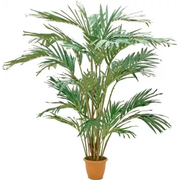 EUROPALMS τεχνητό φοινικόδεντρο Καναρίων 240cm 82511311