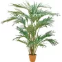 EUROPALMS τεχνητό φοινικόδεντρο Καναρίων 240cm 82511311
