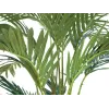 EUROPALMS τεχνητό φοινικόδεντρο Καναρίων 240cm 82511311
