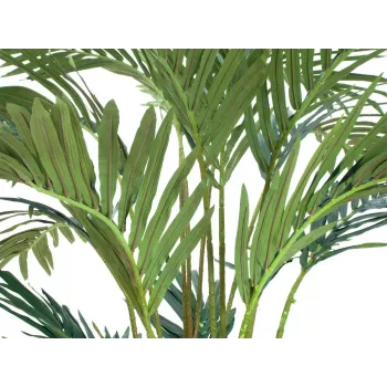 EUROPALMS τεχνητό φοινικόδεντρο Καναρίων 240cm 82511311