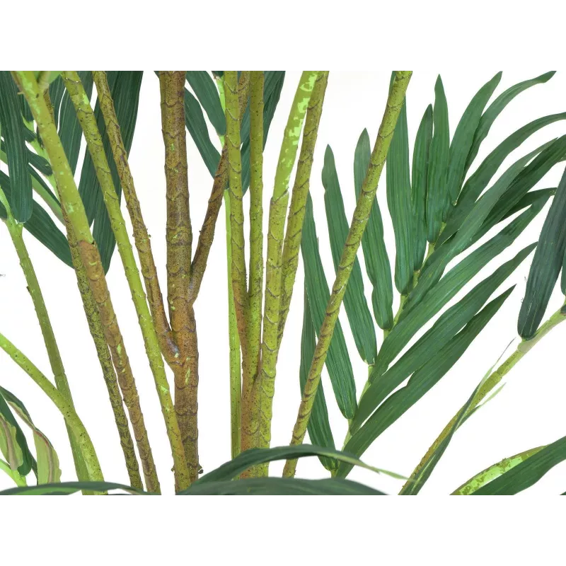EUROPALMS τεχνητό φοινικόδεντρο Καναρίων 240cm 82511311