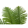 EUROPALMS τεχνητό φοινικόδεντρο Cycas, 70 cm 82509604