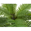 EUROPALMS τεχνητό φοινικόδεντρο Cycas, 70 cm 82509604