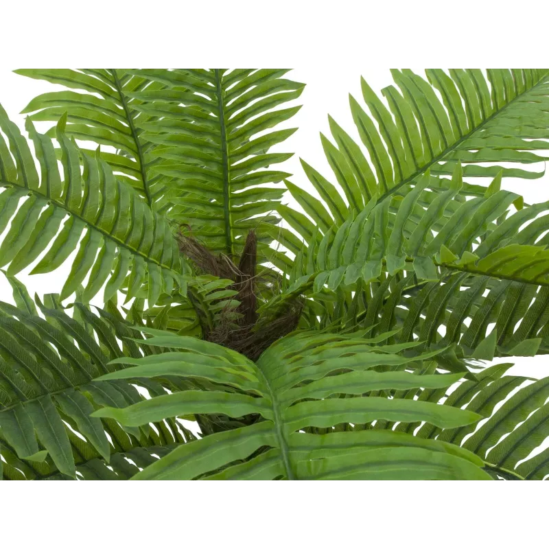 EUROPALMS τεχνητό φοινικόδεντρο Cycas, 70 cm 82509604