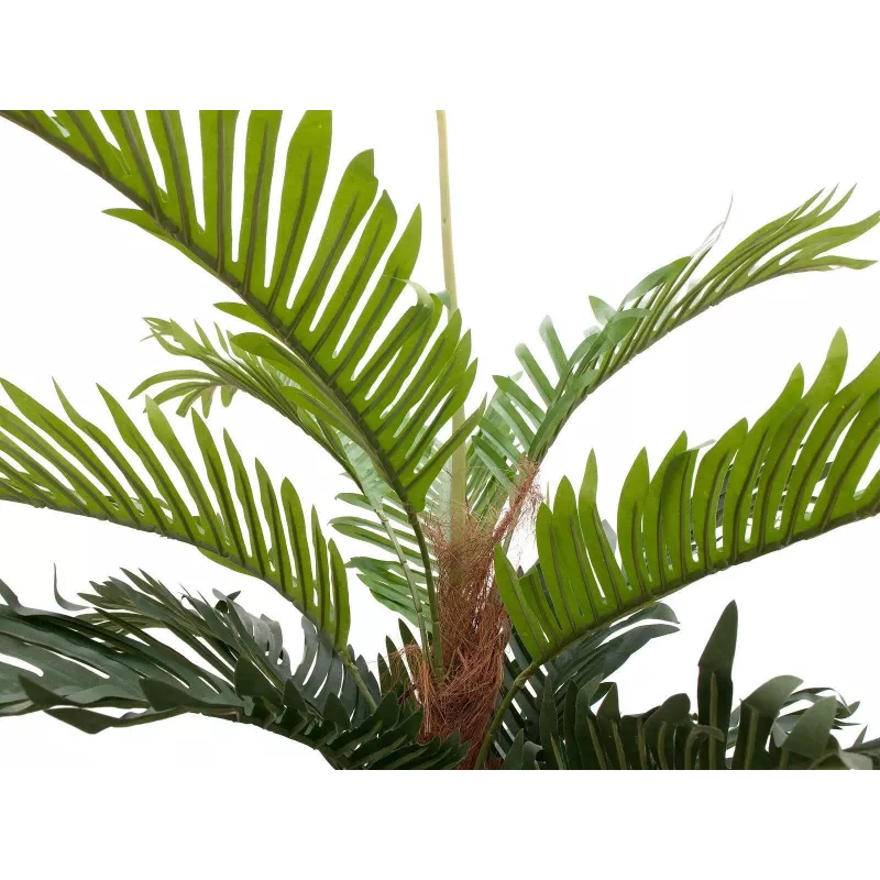 EUROPALMS τεχνητό φοινικόδεντρο Kentia, 150 cm 82511366