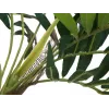 EUROPALMS τεχνητό φοινικόδεντρο, 150cm 82509495