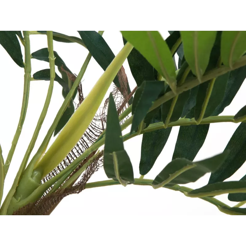 EUROPALMS τεχνητό φοινικόδεντρο, 150cm 82509495