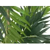 EUROPALMS τεχνητό φοινικόδεντρο, 150cm 82509495