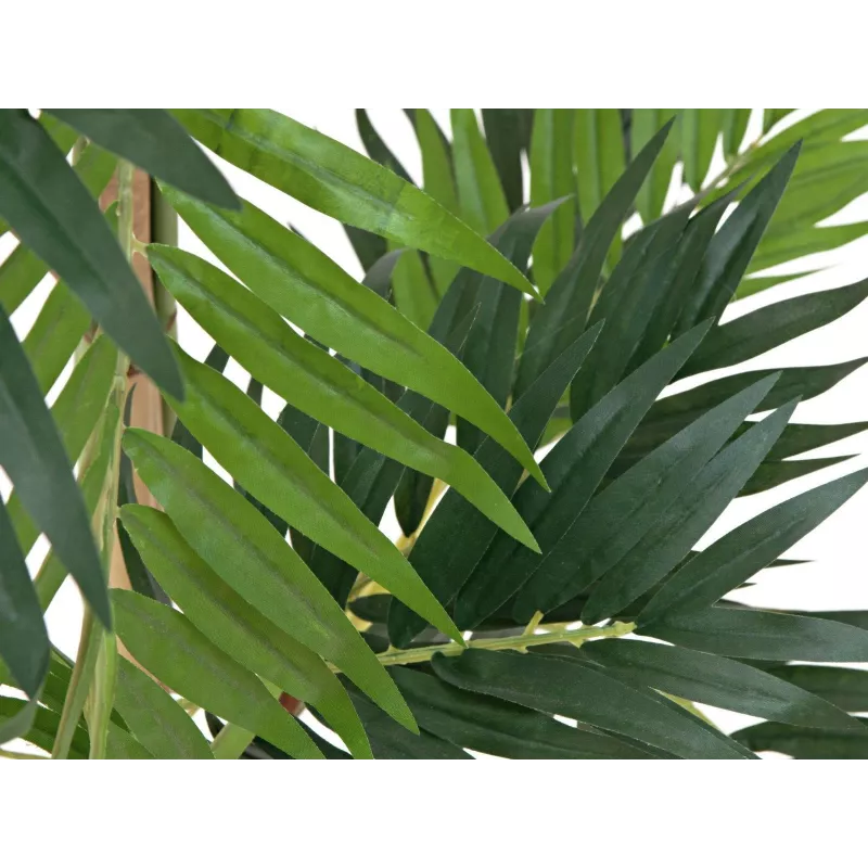 EUROPALMS τεχνητό φοινικόδεντρο, 150cm 82509495