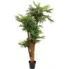 EUROPALMS τεχνητό φοινικόδεντρο Areca 170cm 82509408