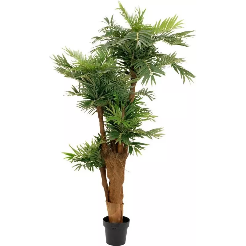 EUROPALMS τεχνητό φοινικόδεντρο Areca 170cm 82509408