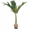 EUROPALMS τεχνητό φοινικόδεντρο Phoenix, 240cm 82511353
