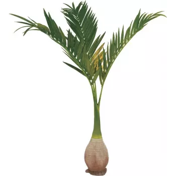 EUROPALMS τεχνητό φοινικόδεντρο Phoenix, 240cm 82511353