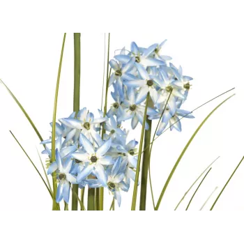 EUROPALMS Τεχνητό φυτό Allium, μπλε, 120 cm 82600168