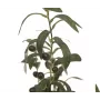 EUROPALMS Τεχνητή ελιά, 68 cm, πράσινα φύλλα, μαύρη γλάστρα 82506421
