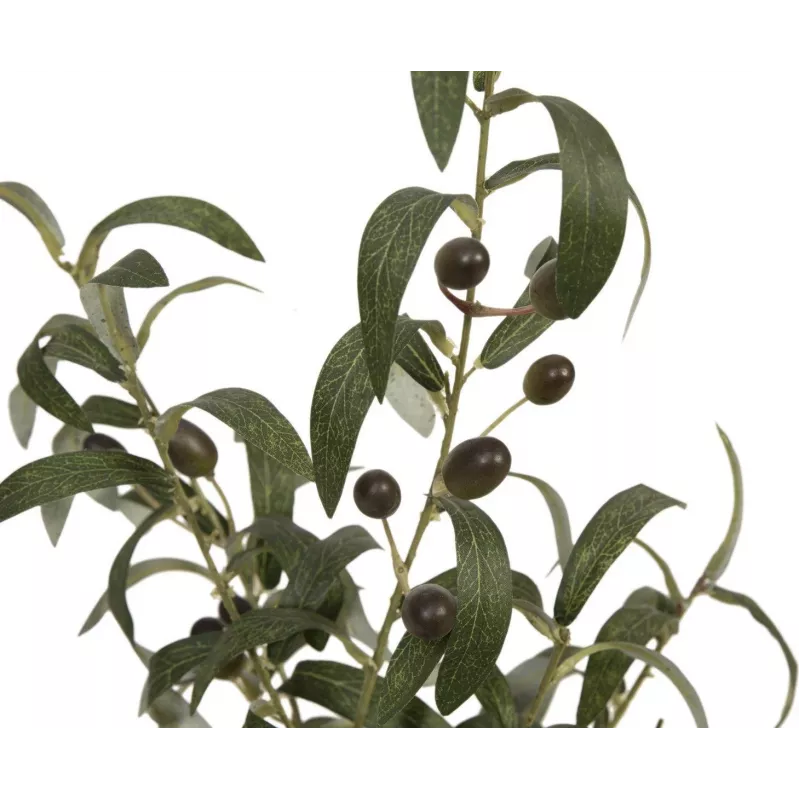 EUROPALMS Τεχνητή ελιά, 68 cm, πράσινα φύλλα, μαύρη γλάστρα 82506421