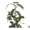 EUROPALMS Τεχνητή ελιά, 68 cm, πράσινα φύλλα, μαύρη γλάστρα 82506421
