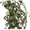 EUROPALMS Τεχνητή ελιά, 104 cm 82506423