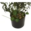 EUROPALMS Τεχνητή ελιά, 104 cm 82506423