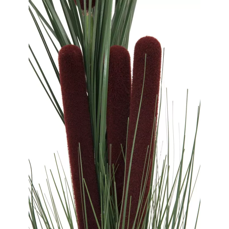 EUROPALMS Τεχνητό καλάμι με στάχυα, σκούρο πράσινο, 152cm 82505854