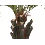 EUROPALMS Kentia-Palme Deluxe τεχνητό φυτό 300cm 82511370