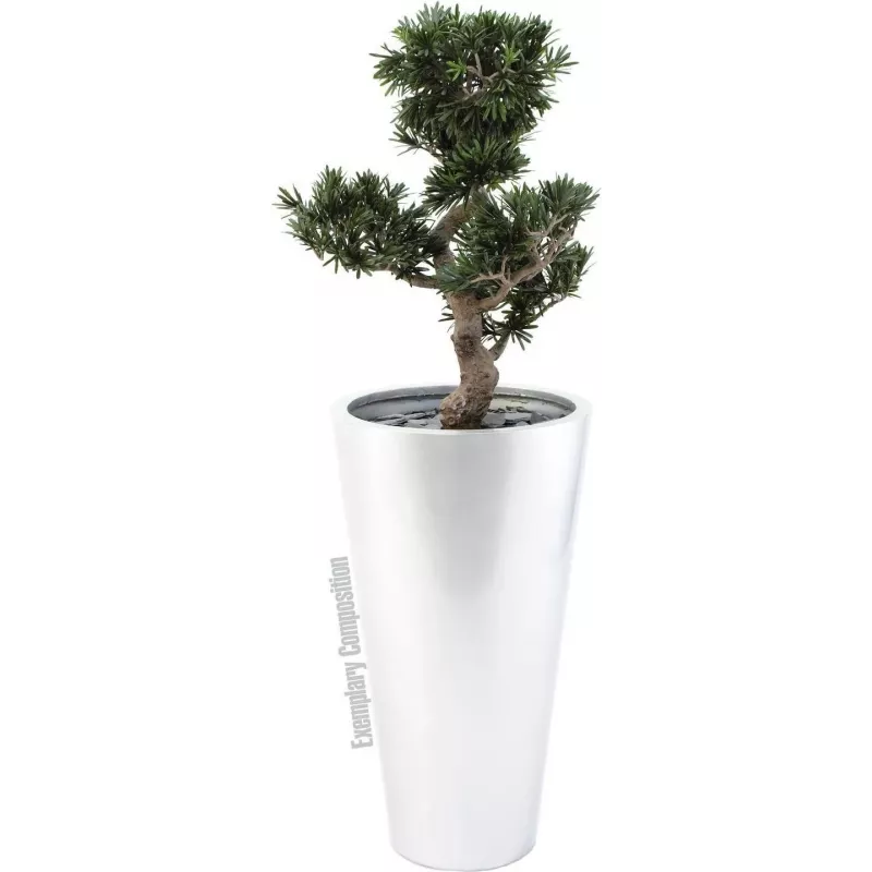 EUROPALMS Bonsai Podocarpus Τεχνητό φυτό, 80cm 82600116
