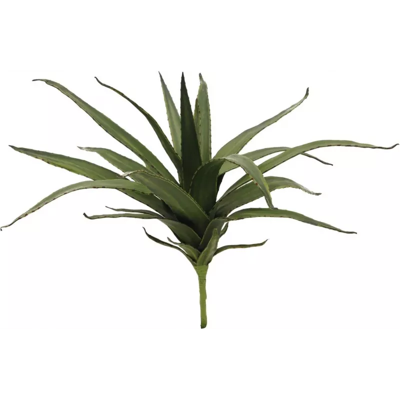 EUROPALMS Aloe (EVA), τεχνητό, πράσινο, 50cm (82530570)