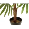EUROPALMS Τεχνητό φυτό παλάμη βεντάλιας, 88cm, Πράσινο, Μαύρη γλάστρα 82509301