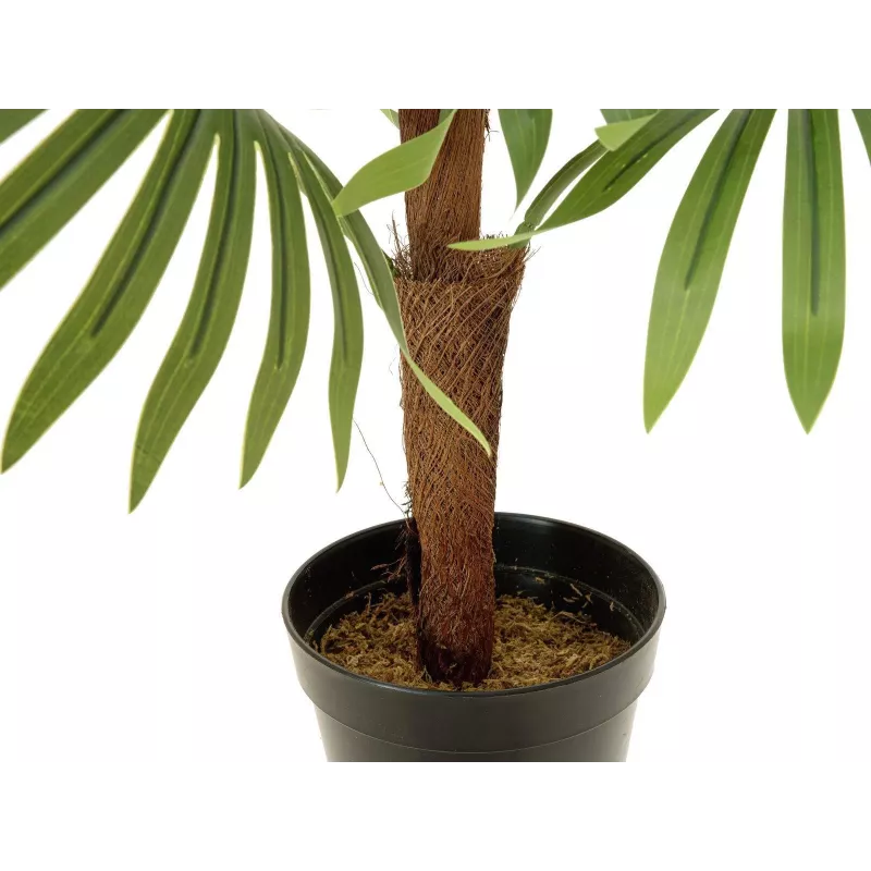 EUROPALMS Τεχνητό φυτό παλάμη βεντάλιας, 88cm, Πράσινο, Μαύρη γλάστρα 82509301