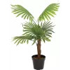 EUROPALMS Τεχνητό φυτό παλάμη βεντάλιας, 88cm, Πράσινο, Μαύρη γλάστρα 82509301