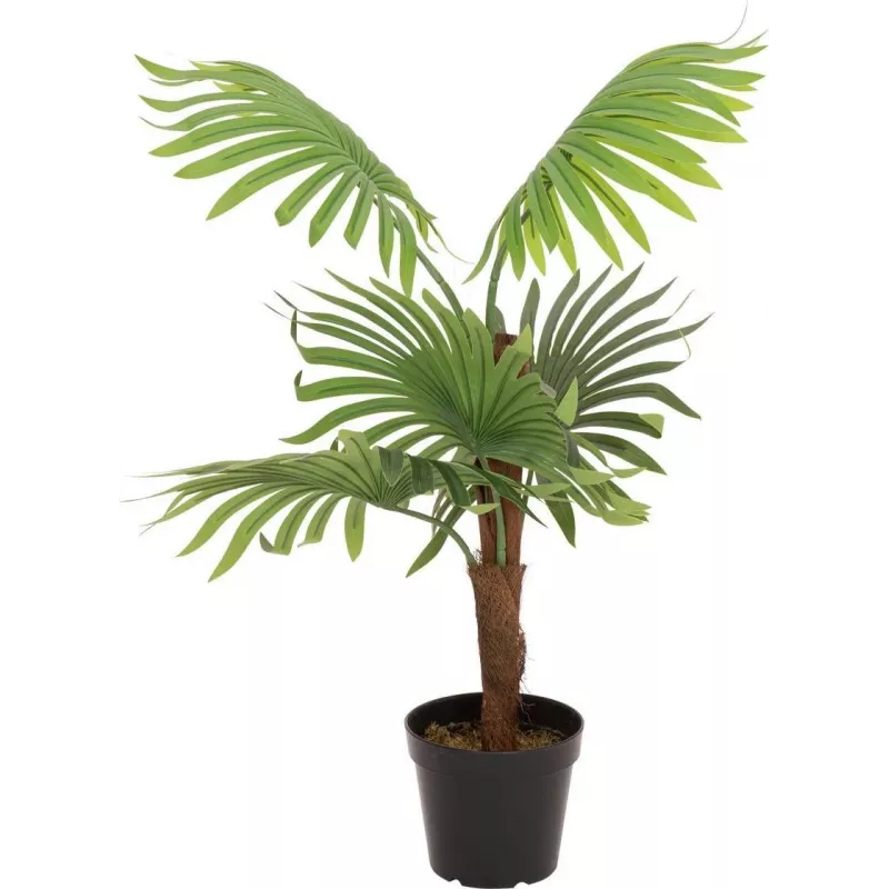 EUROPALMS Τεχνητό φυτό παλάμη βεντάλιας, 88cm, Πράσινο, Μαύρη γλάστρα 82509301