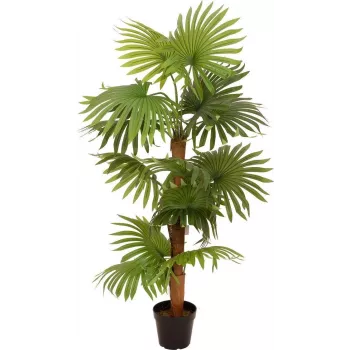 EUROPALMS Τεχνητό φυτό παλάμη βεντάλιας 130cm 82509302