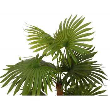 EUROPALMS Τεχνητό φυτό παλάμη βεντάλιας 130cm 82509302