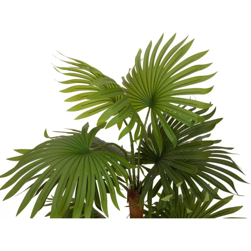EUROPALMS Τεχνητό φυτό παλάμη βεντάλιας 130cm 82509302