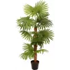 EUROPALMS Τεχνητό φυτό παλάμη βεντάλιας 130cm 82509302
