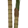 EUROPALMS Areca-Palme, 2-stämmig, τεχνητό φυτό, 120cm (82509410)